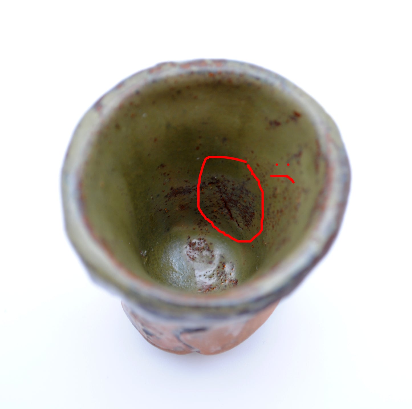 Bear Snout Shot Glass (SECOND)