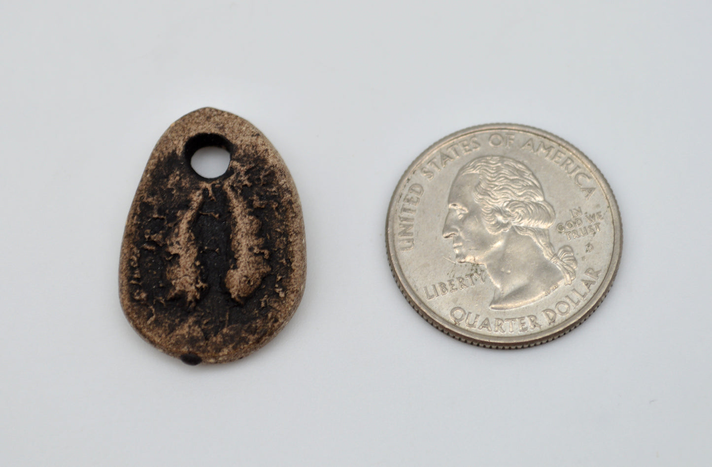 Pronghorn Hoof Pendant