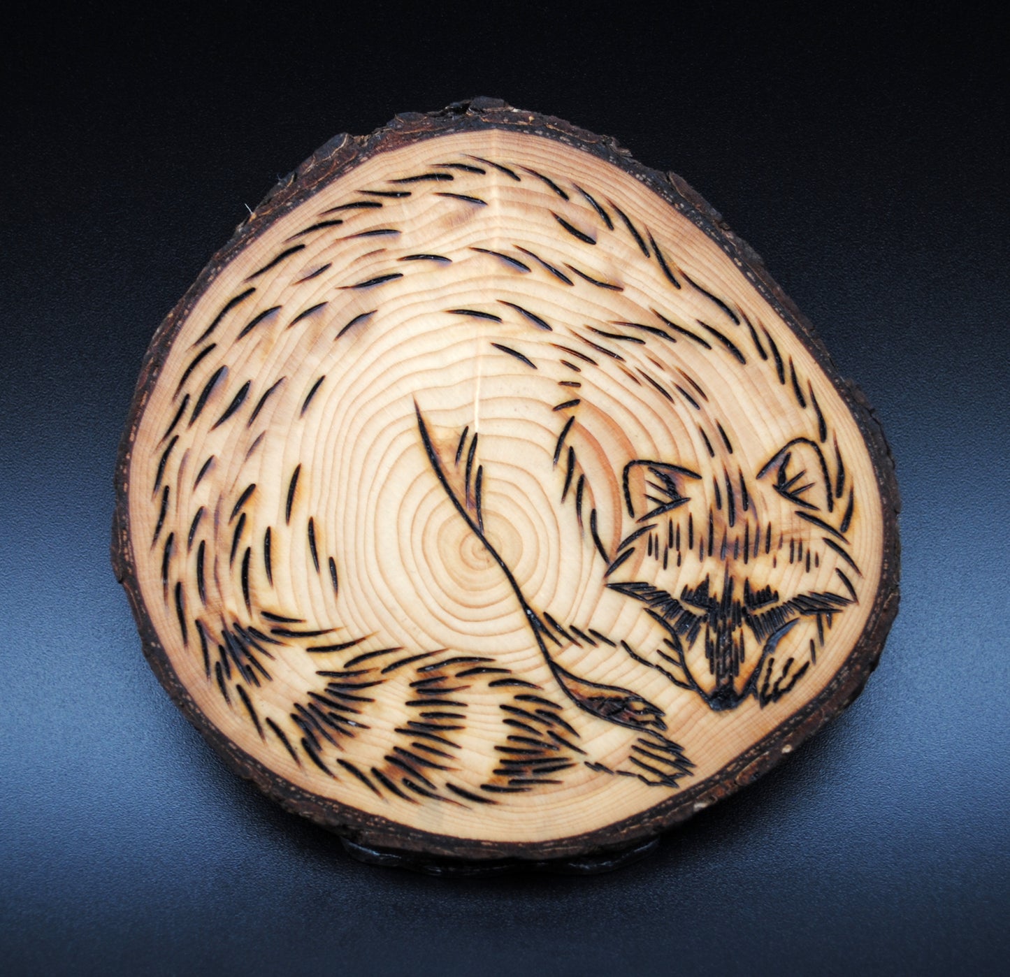 Custom Pyrography Set for Lassie 1/2