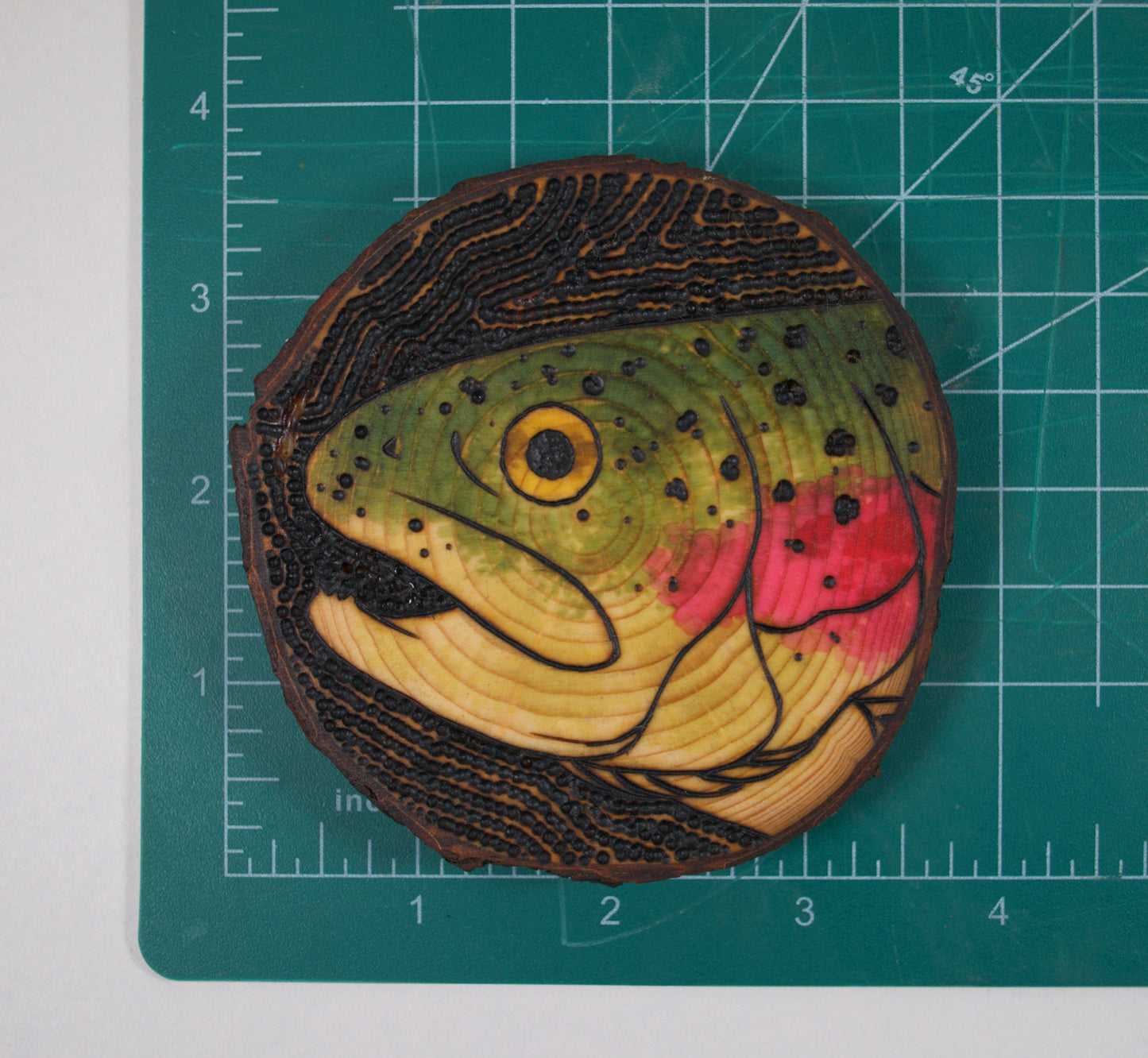 Rainbow Trout Coaster Set/Wall Art