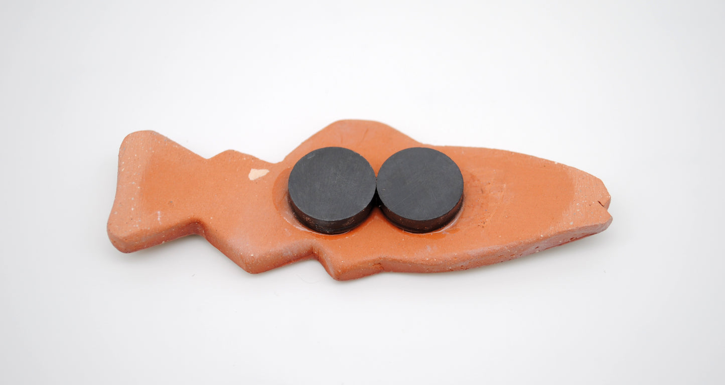 Rainbow Trout Magnet