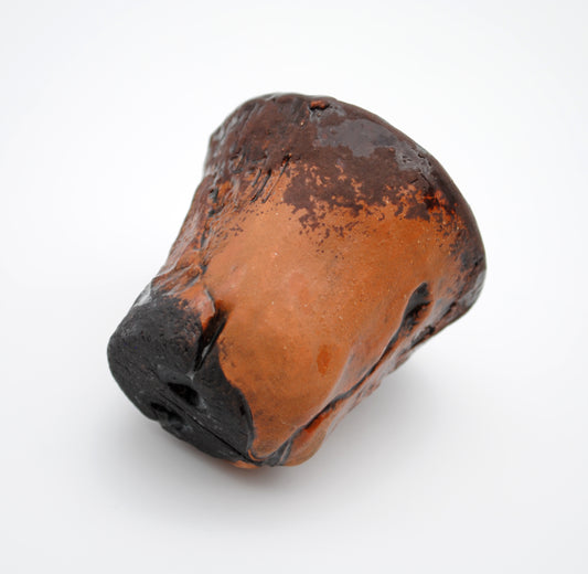 Bear Snout Shot Glass (SECOND)