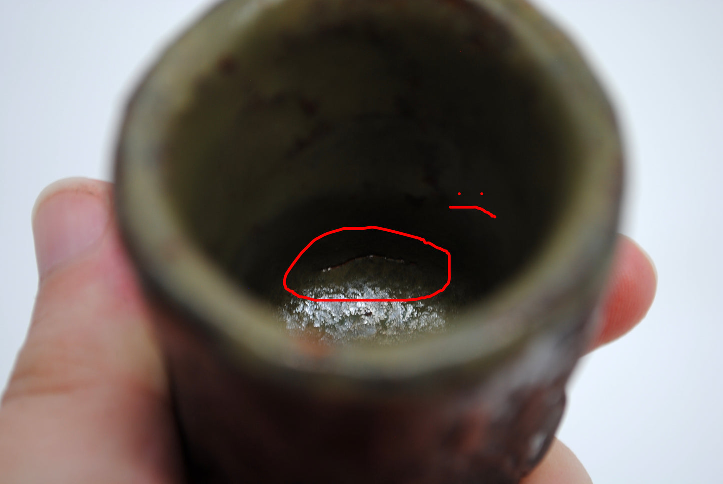 Bear Paw Shot Glass (SECOND)