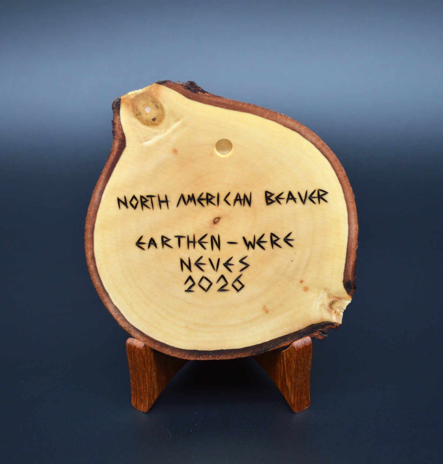 North American Beaver
