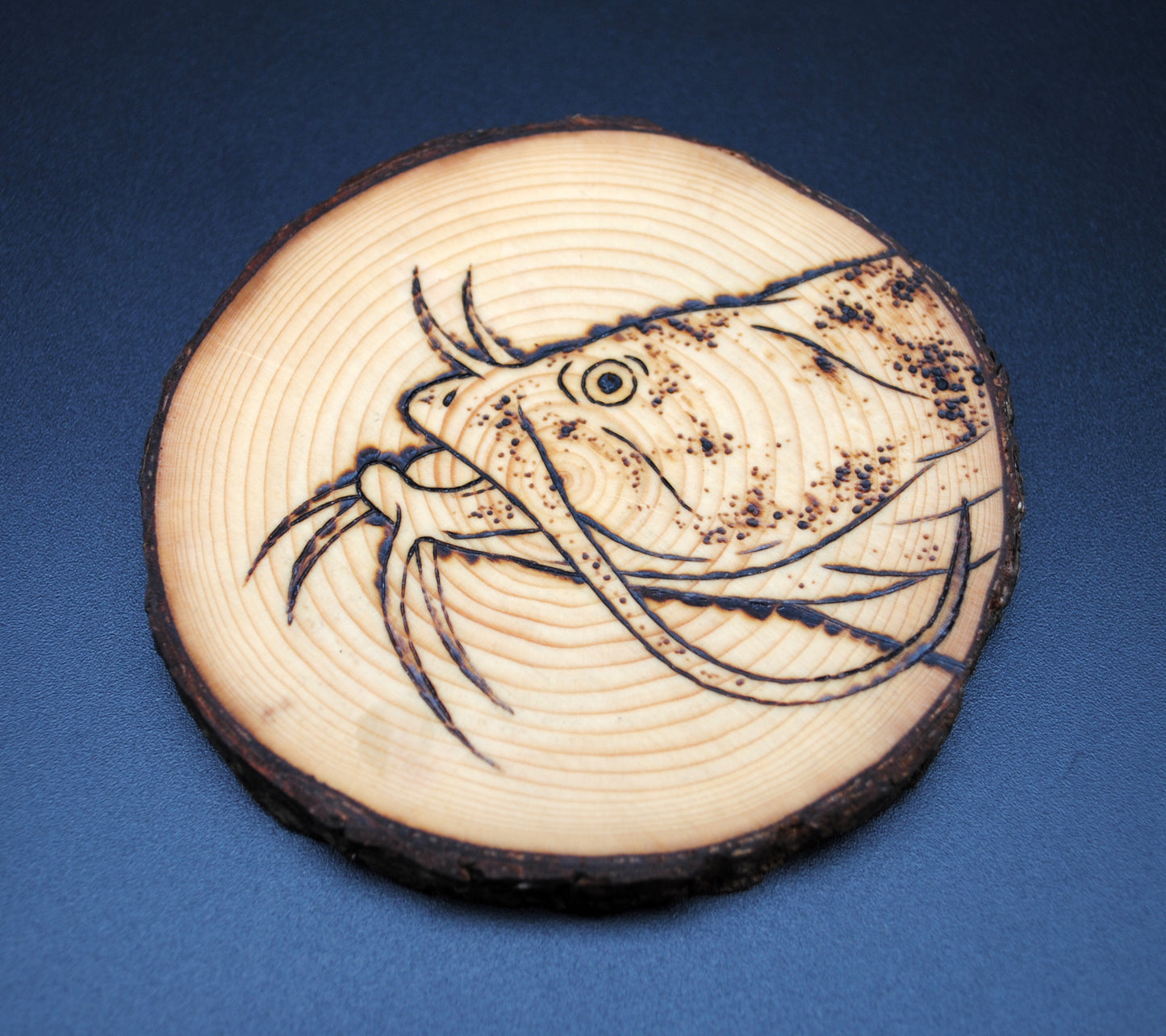 Flathead Catfish Coaster Set/Wall Art