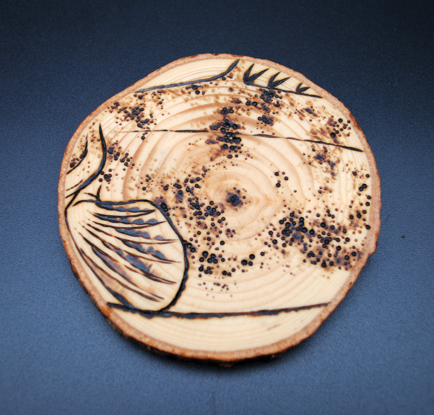 Flathead Catfish Coaster Set/Wall Art