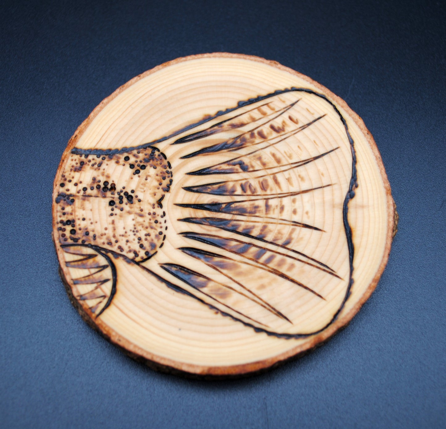 Flathead Catfish Coaster Set/Wall Art