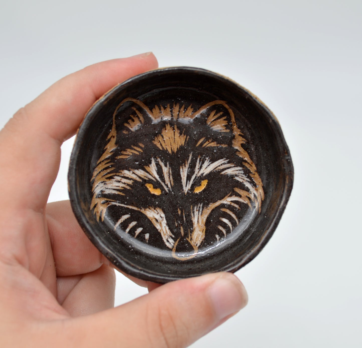 Raccoon Dish