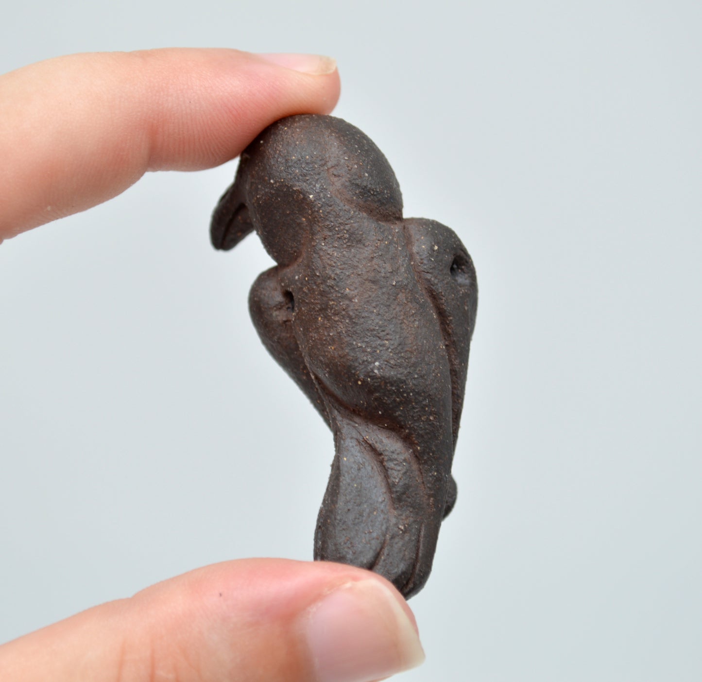 Black Raven Pendant