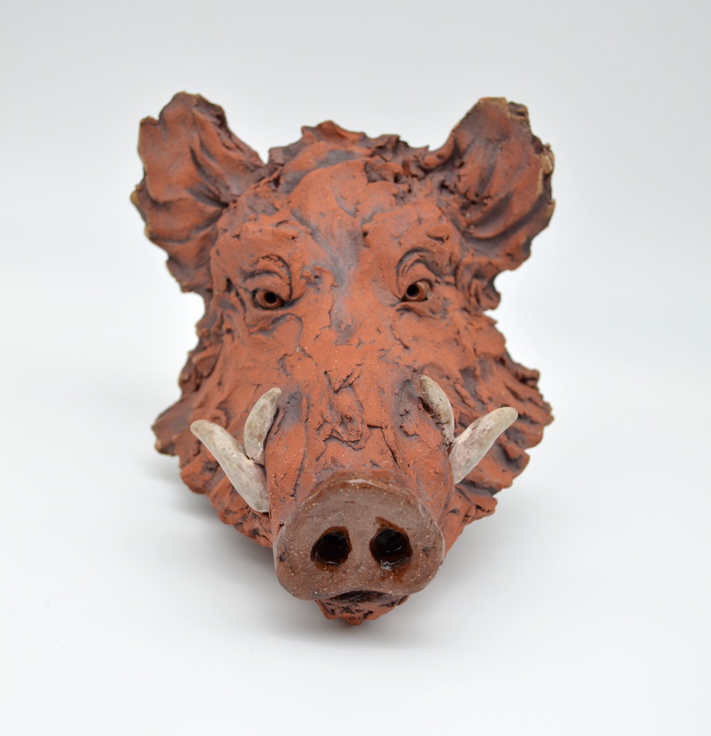 Red Boar Head