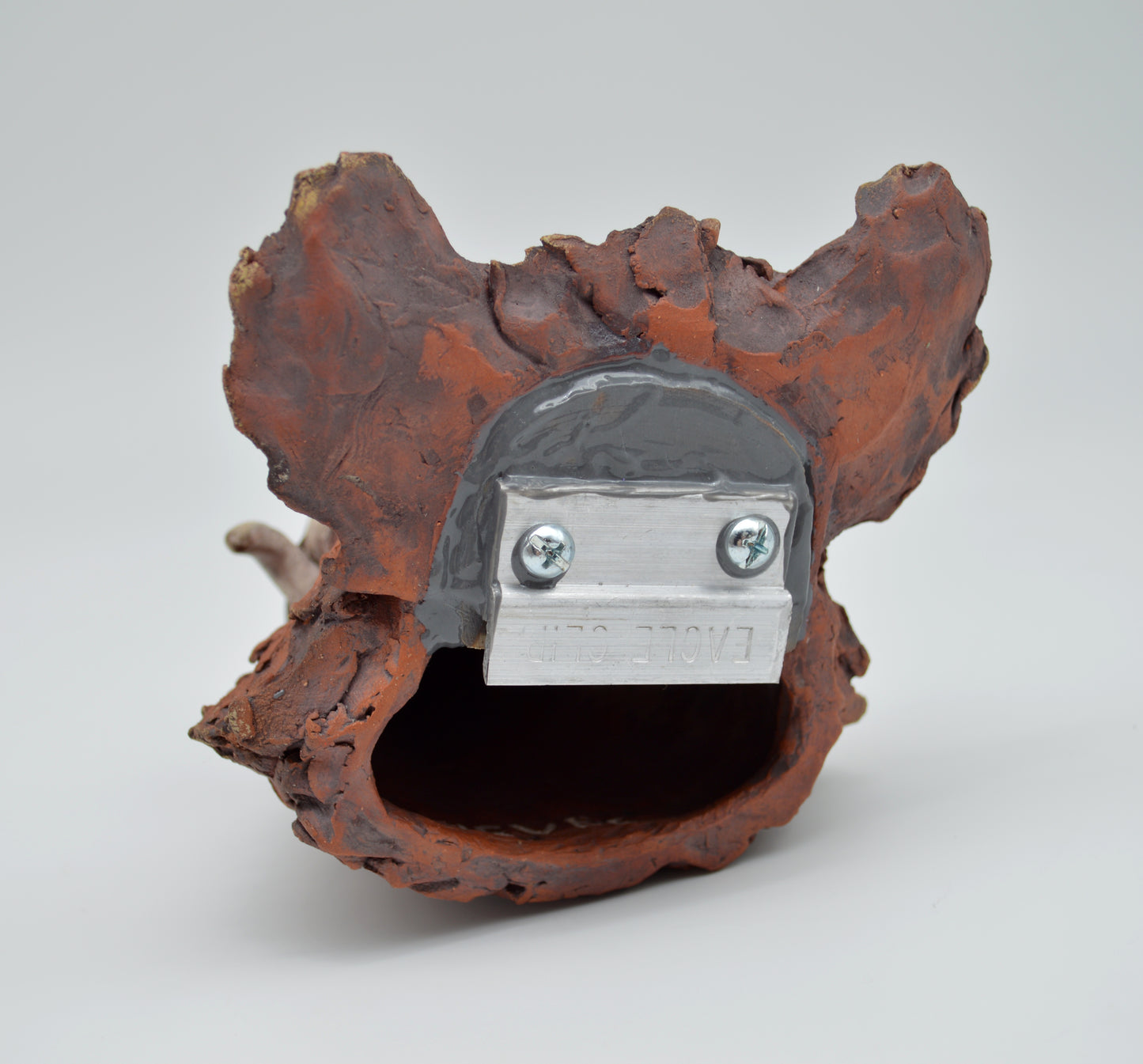 Red Boar Head