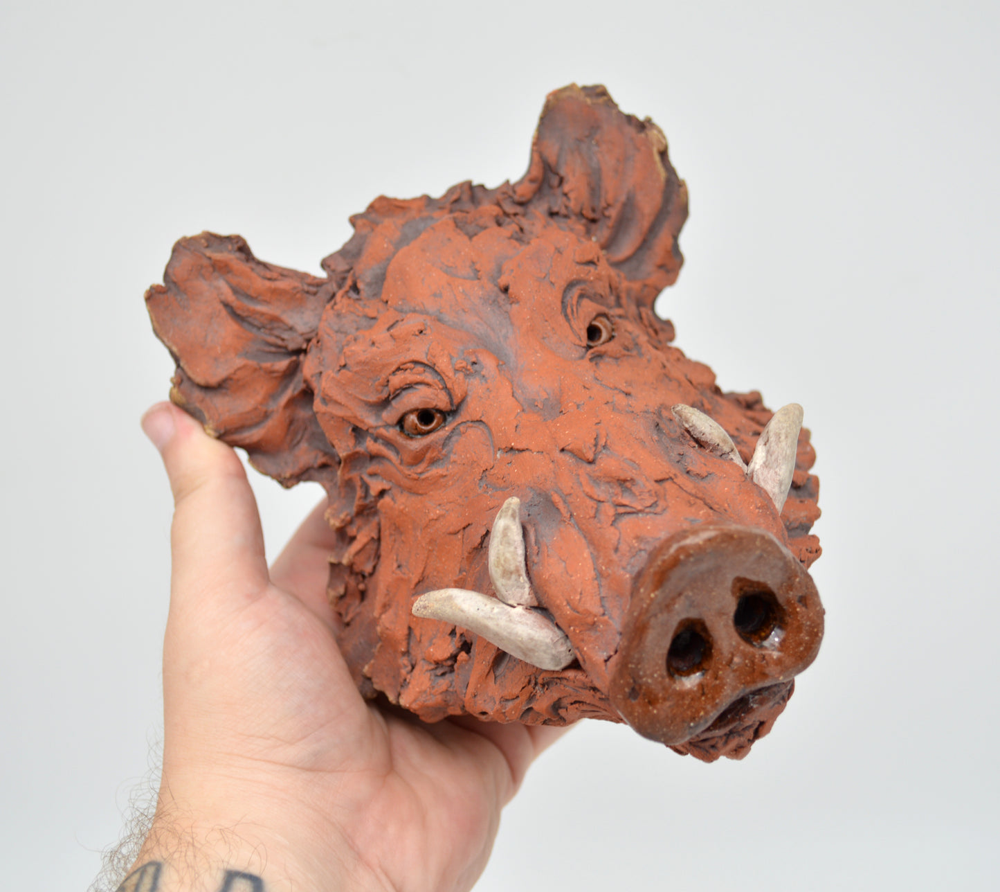 Red Boar Head