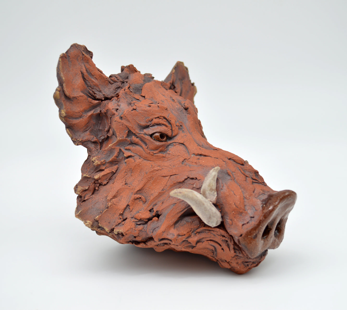 Red Boar Head
