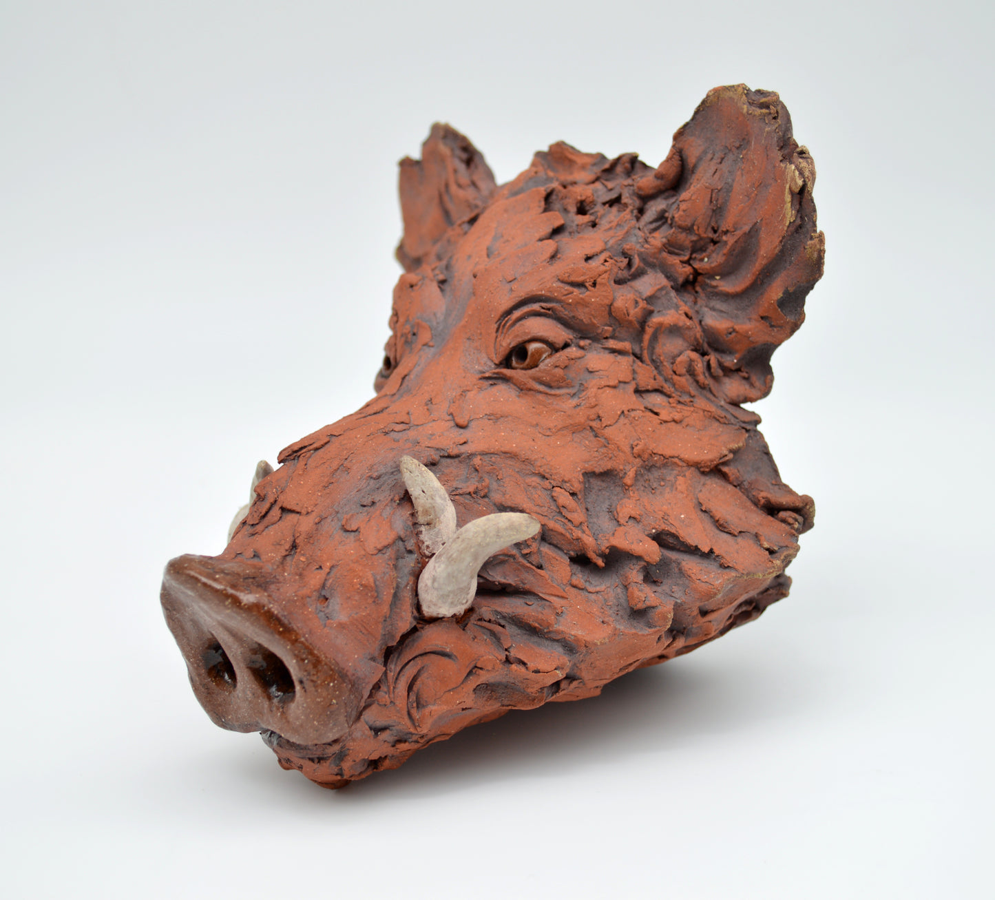 Red Boar Head