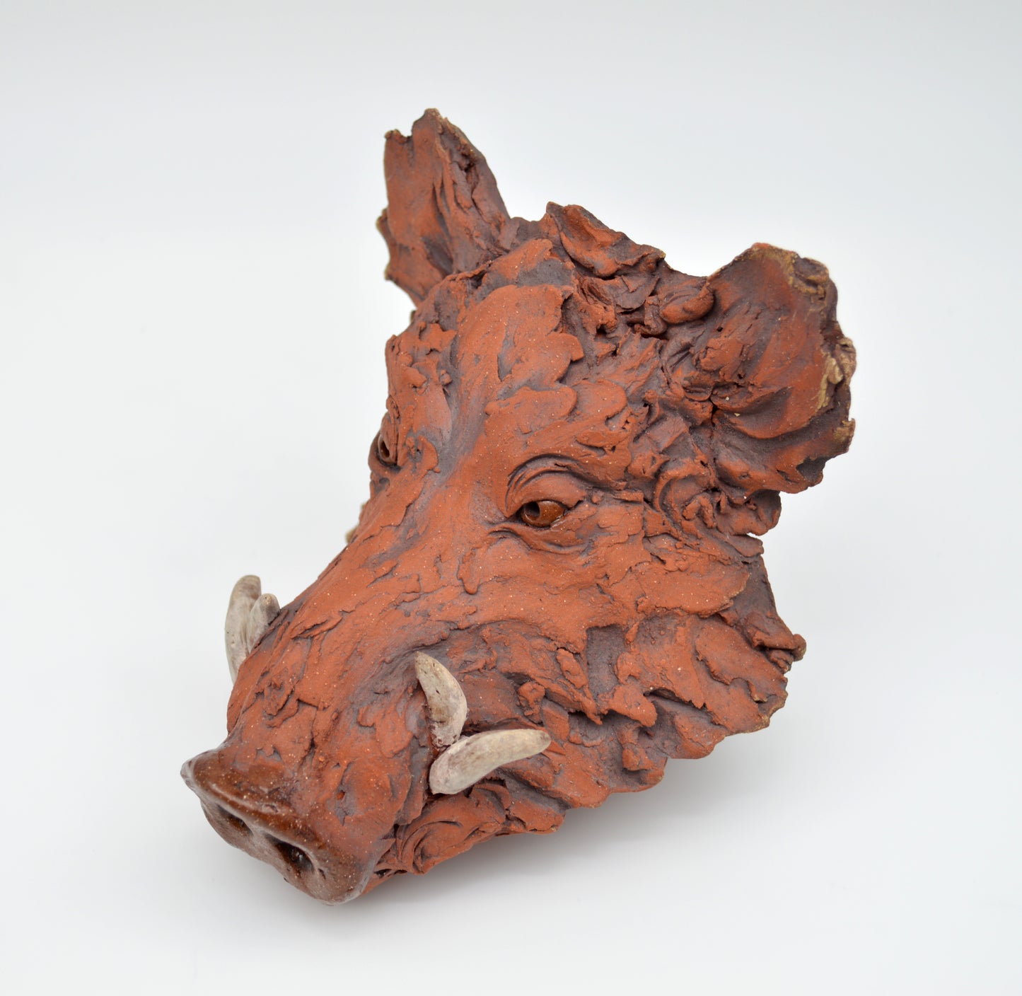 Red Boar Head