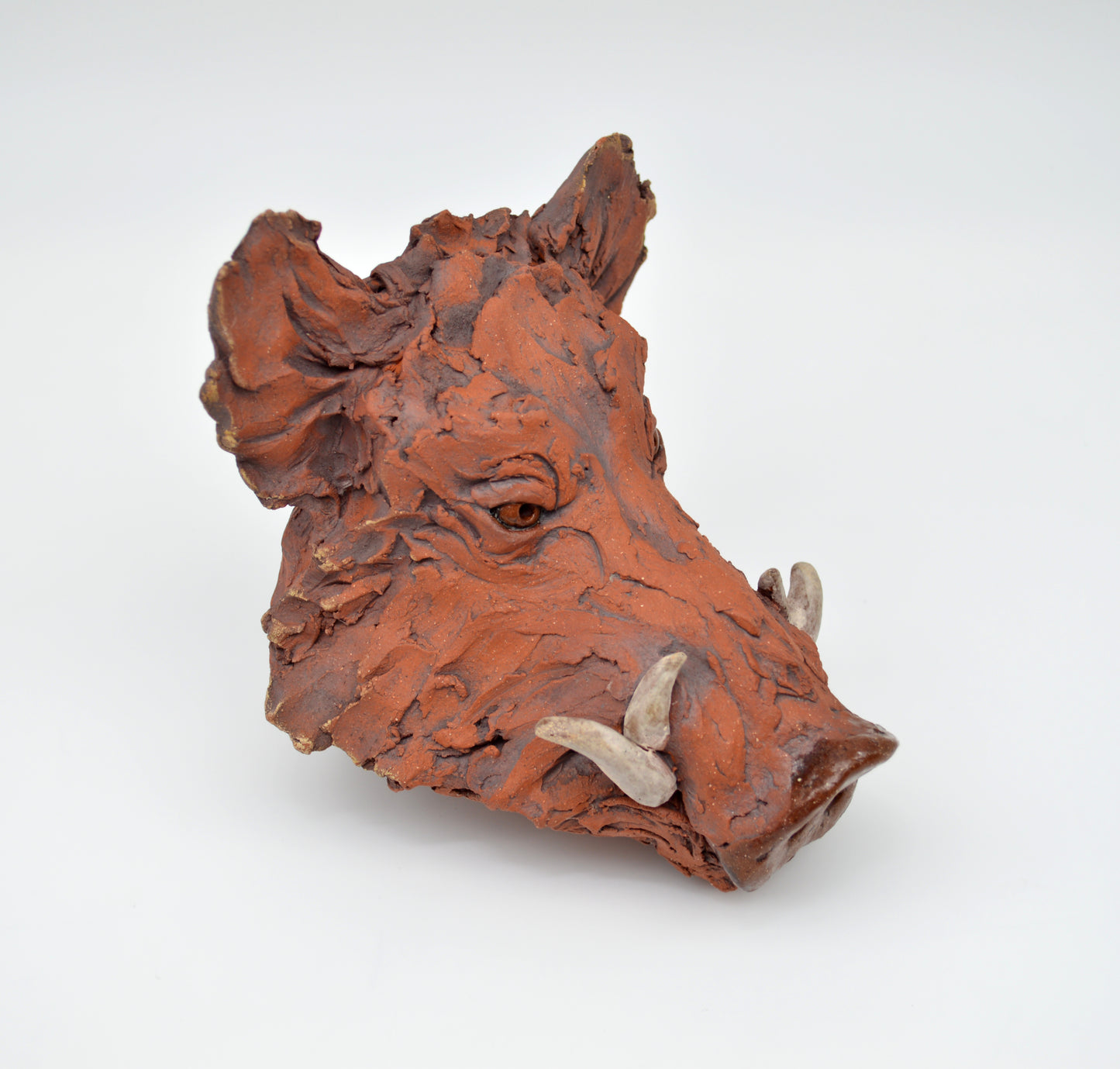 Red Boar Head