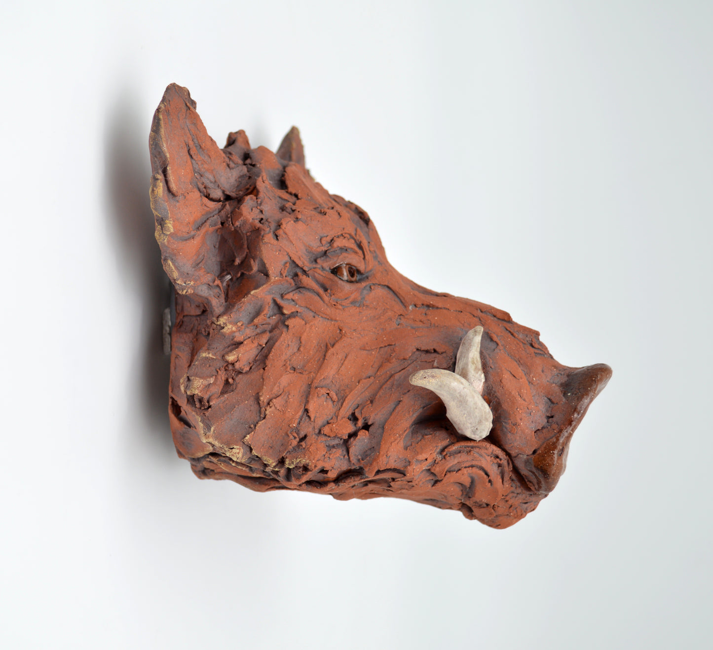 Red Boar Head
