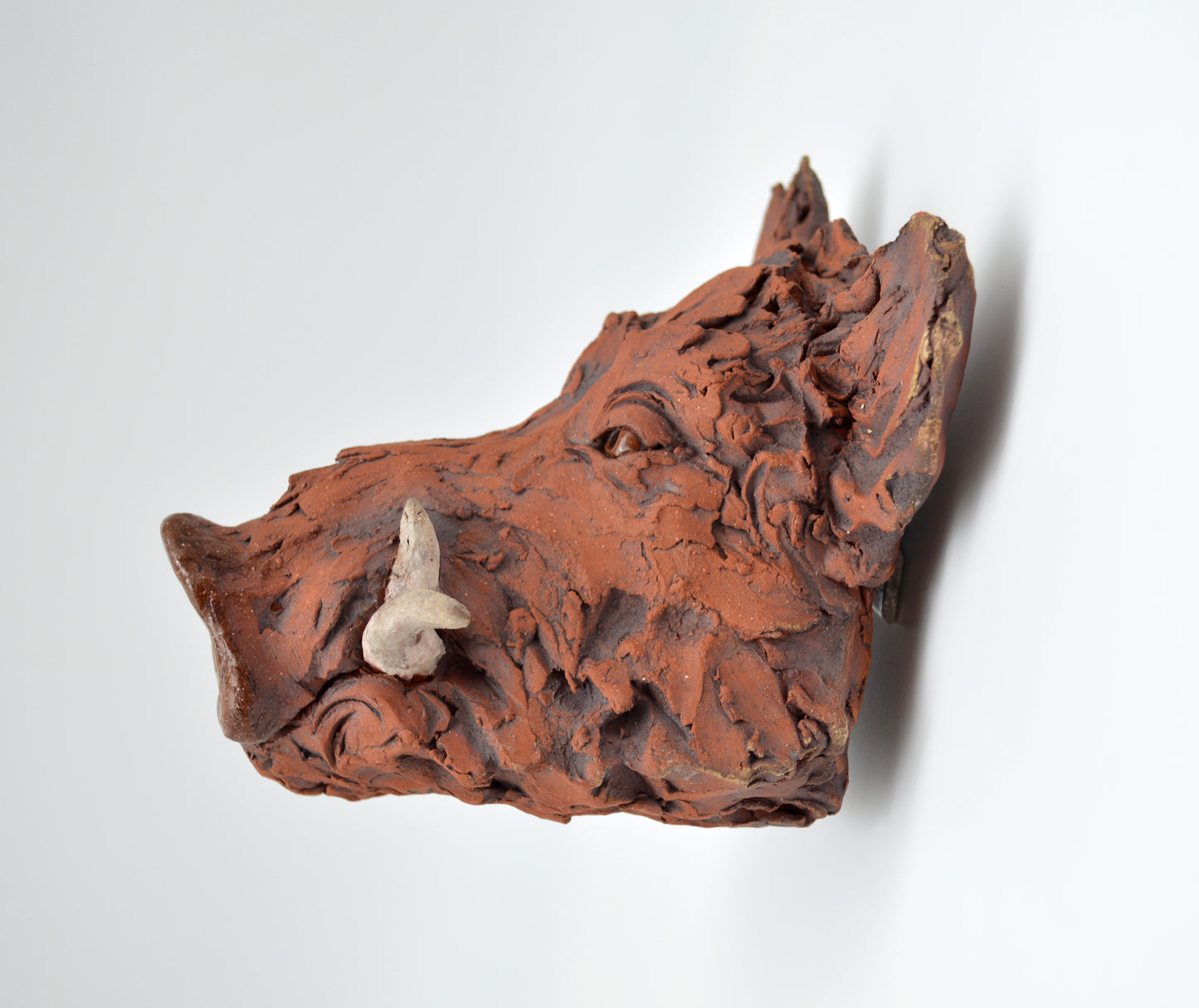 Red Boar Head