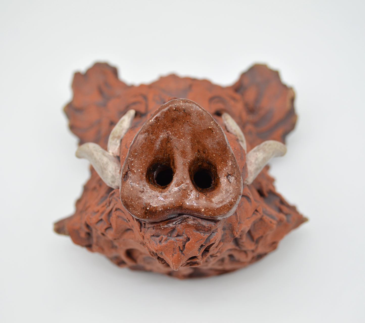 Red Boar Head