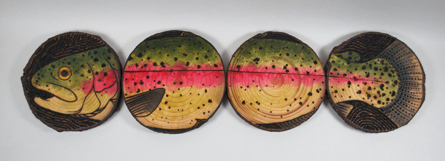 Rainbow Trout Coaster Set/Wall Art