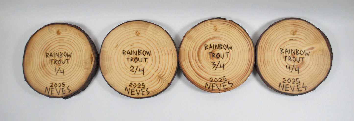 Rainbow Trout Coaster Set/Wall Art