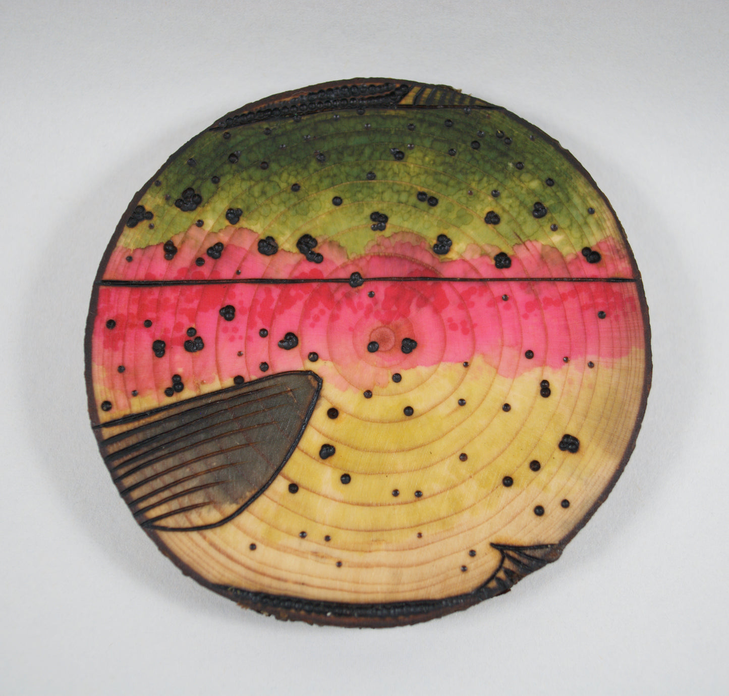 Rainbow Trout Coaster Set/Wall Art
