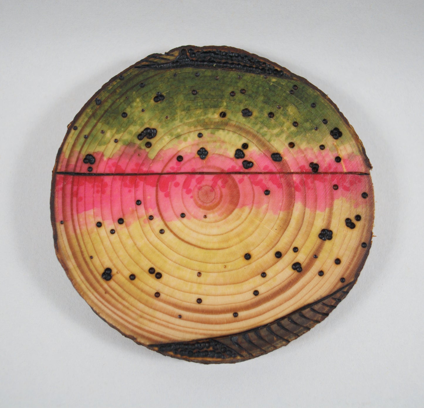 Rainbow Trout Coaster Set/Wall Art