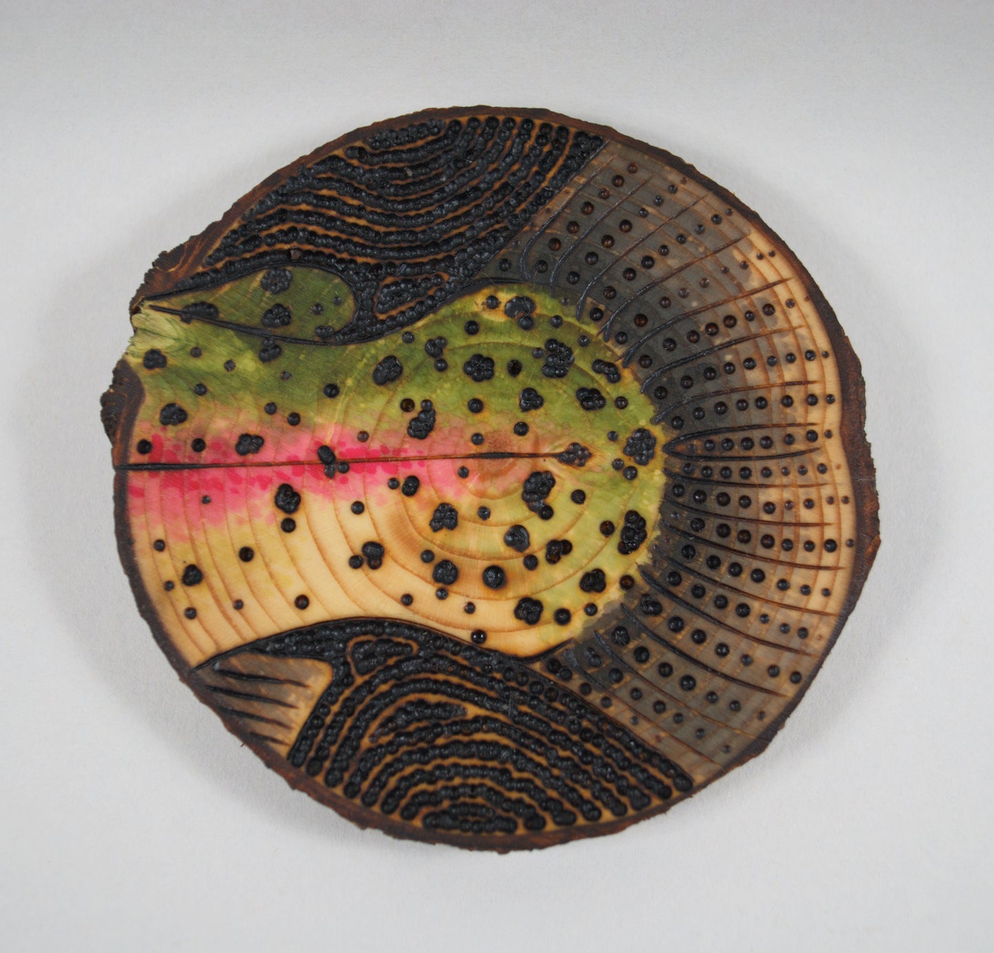 Rainbow Trout Coaster Set/Wall Art