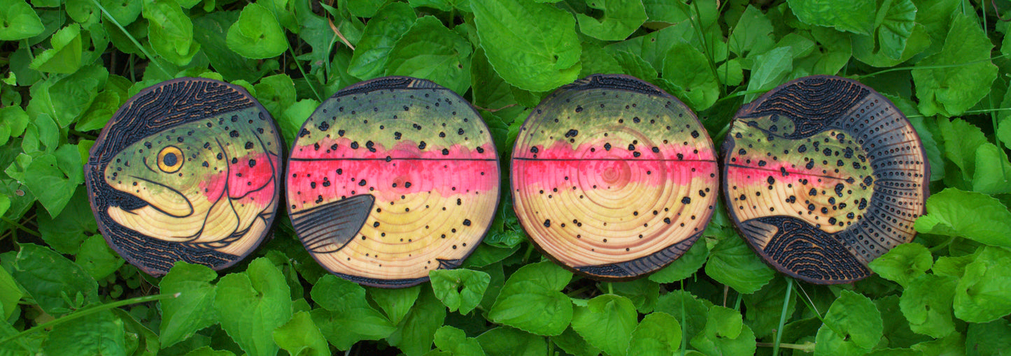 Rainbow Trout Coaster Set/Wall Art