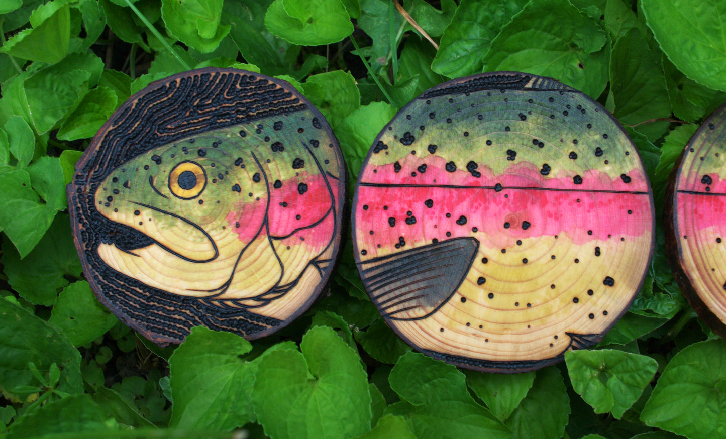 Rainbow Trout Coaster Set/Wall Art