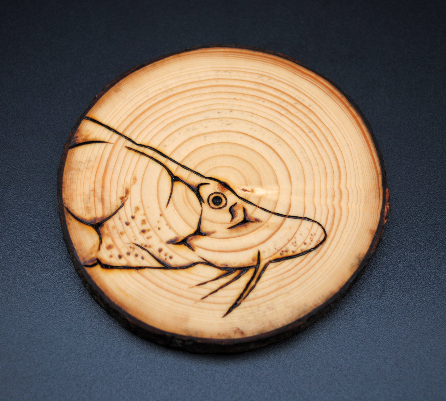 Atlantic Sturgeon Coaster Set/Wall Art