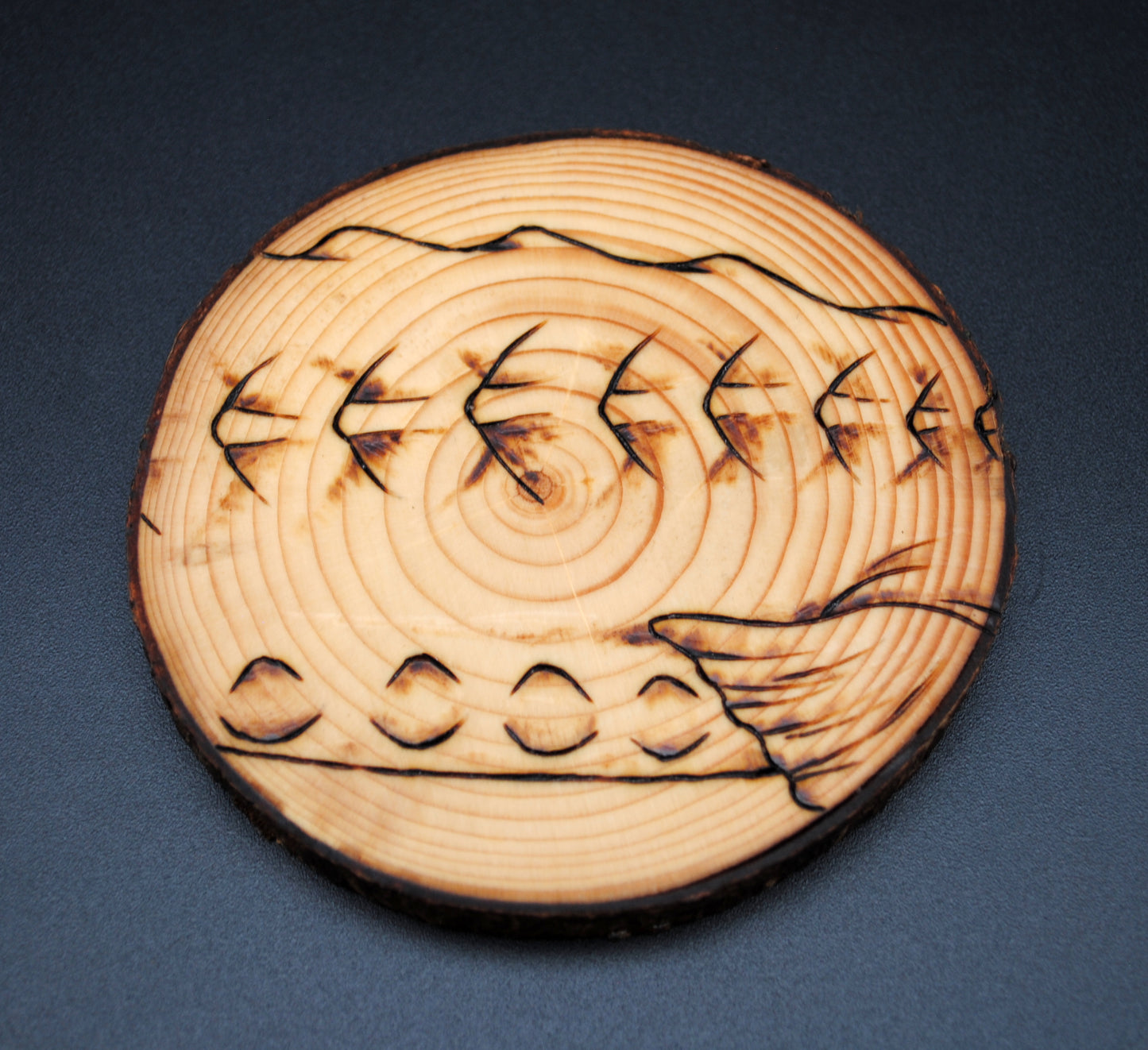 Atlantic Sturgeon Coaster Set/Wall Art