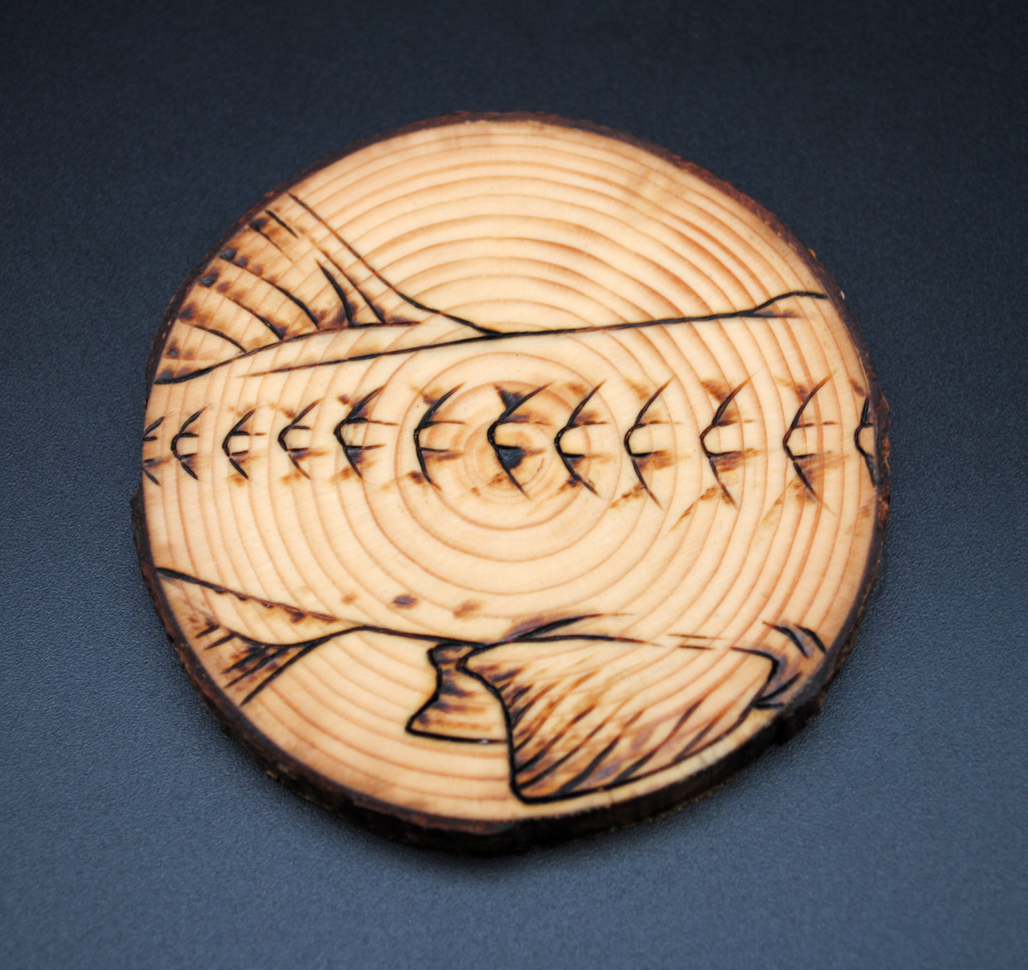 Atlantic Sturgeon Coaster Set/Wall Art
