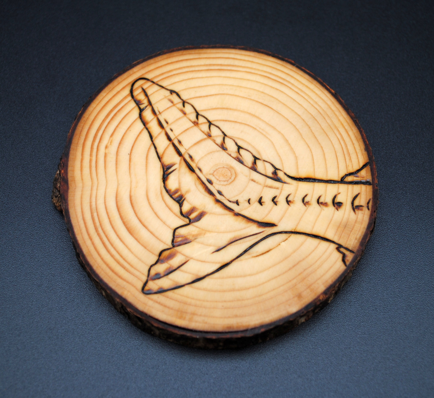 Atlantic Sturgeon Coaster Set/Wall Art