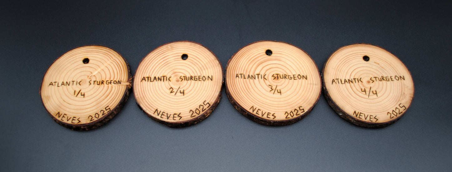 Atlantic Sturgeon Coaster Set/Wall Art