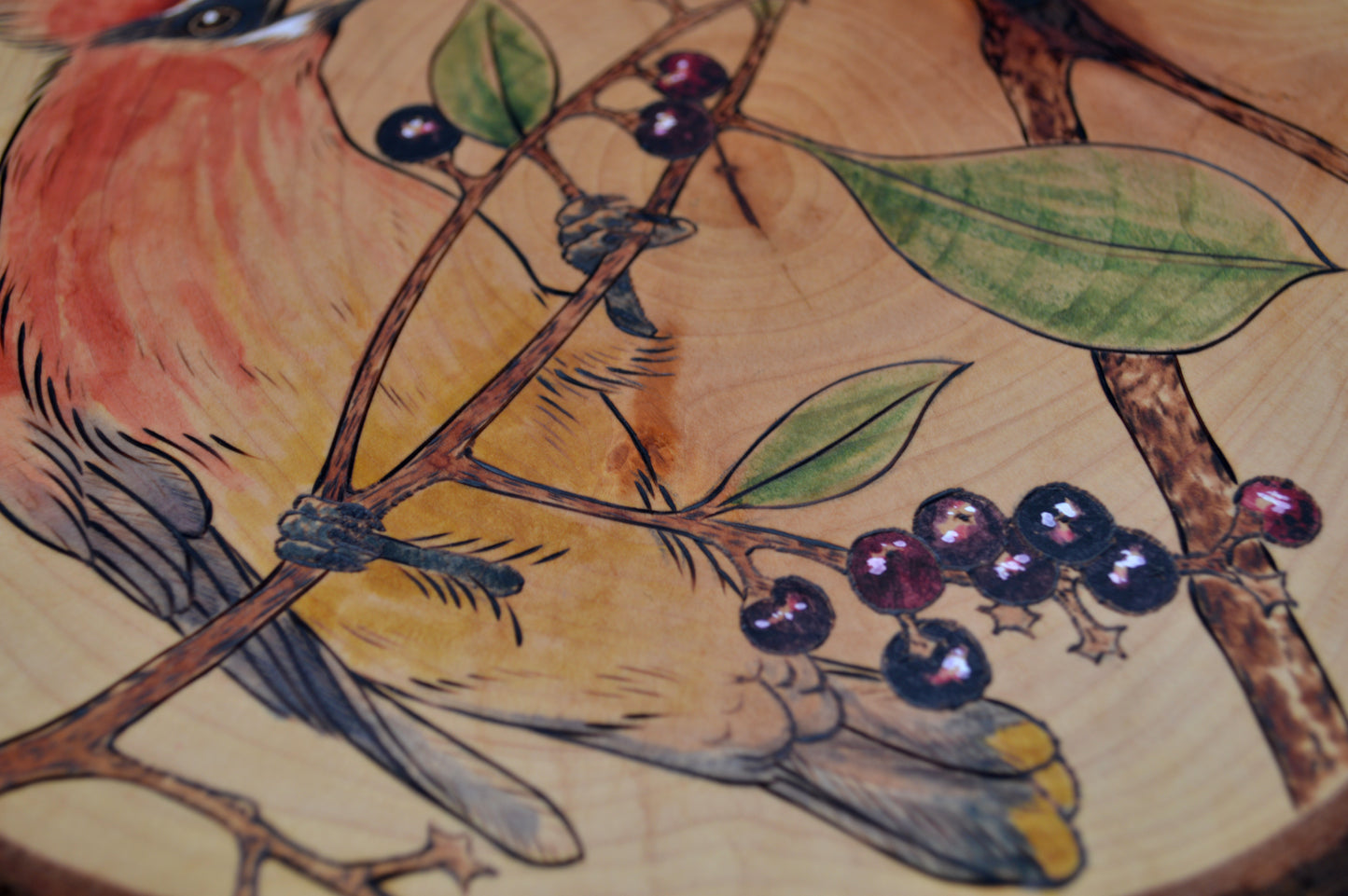 'The Cherry Lovers'