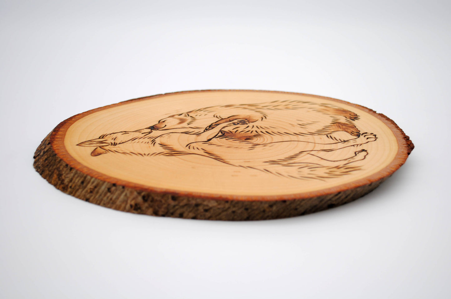 Badger and Coyote Dance