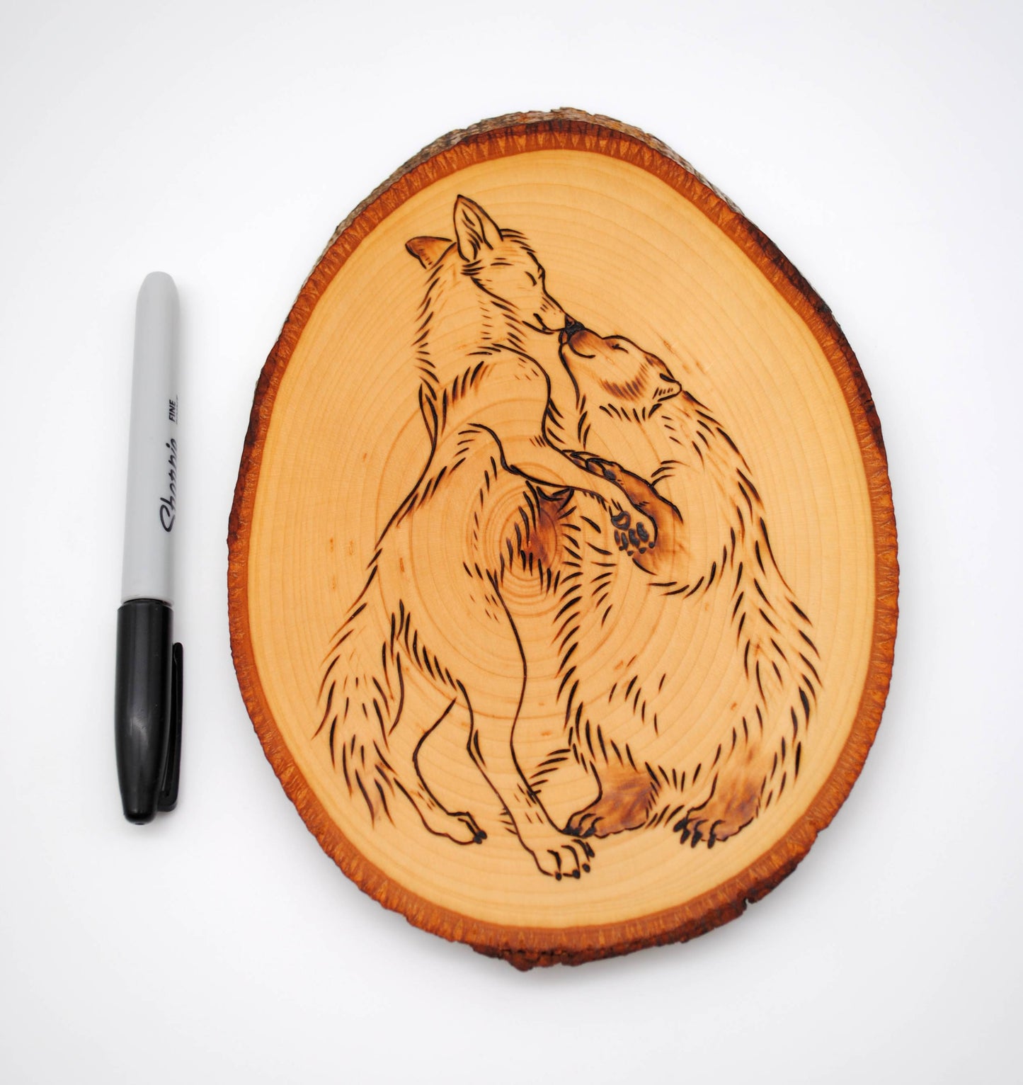 Badger and Coyote Dance