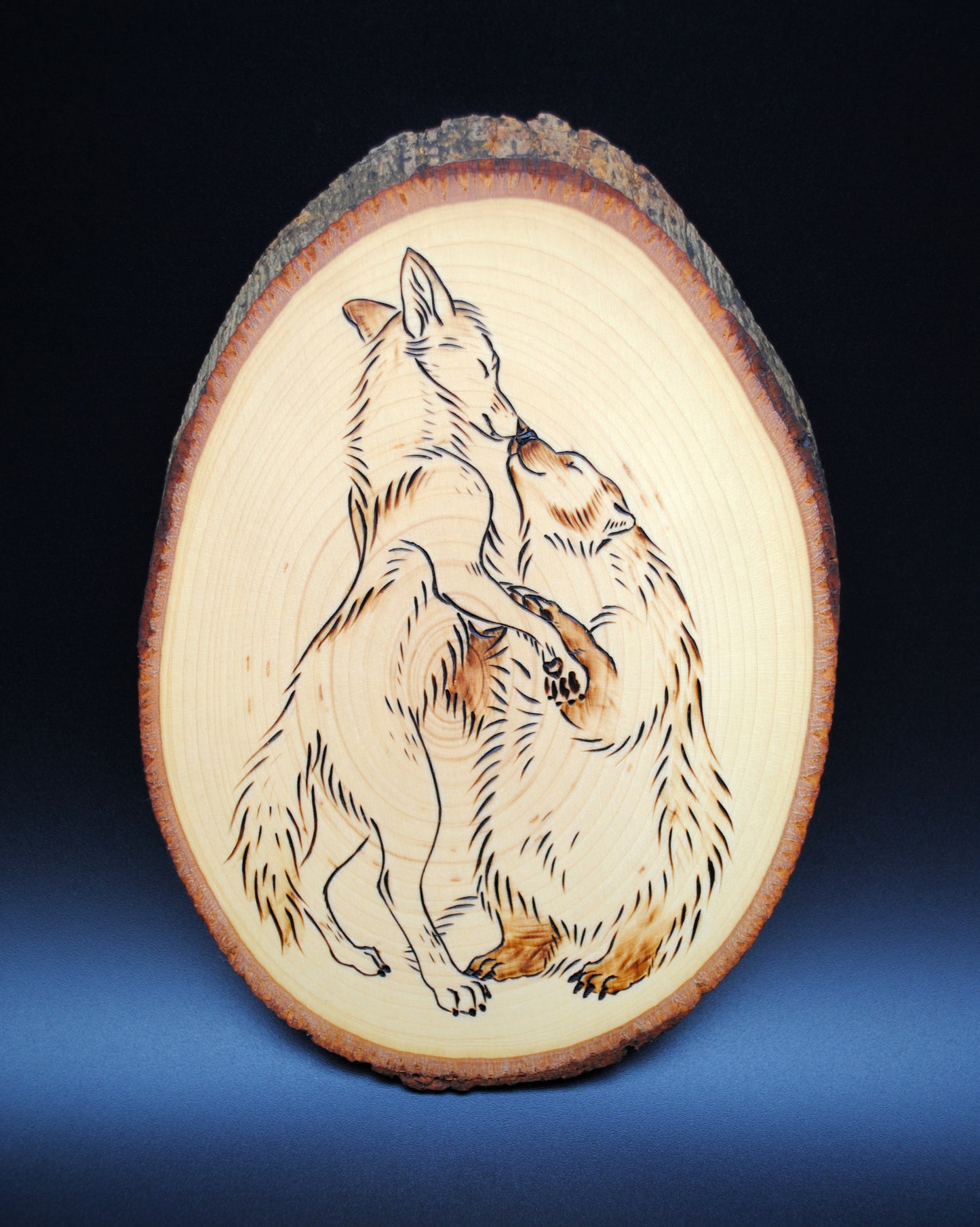 Badger and Coyote Dance