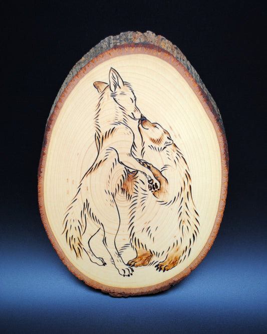 Badger and Coyote Dance